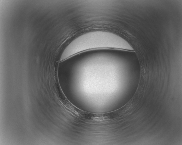 X0000051240556200506170819