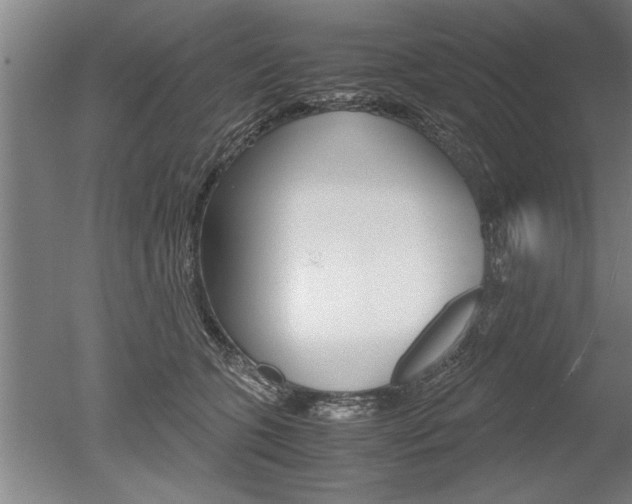 X0000051240563200506170819