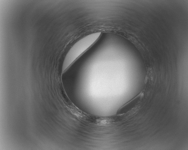 X0000051240564200506170819
