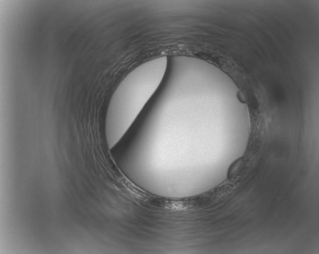 X0000051240565200506170819