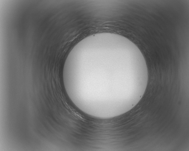 X0000051240566200506170819