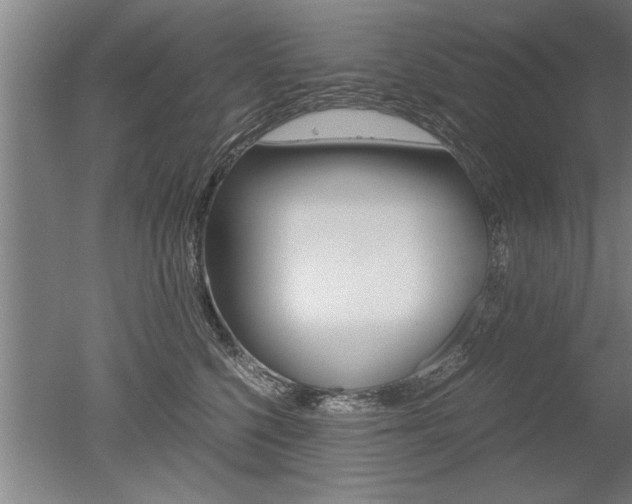X0000051240568200506170819
