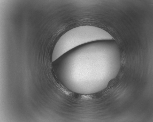 X0000051240573200506170819