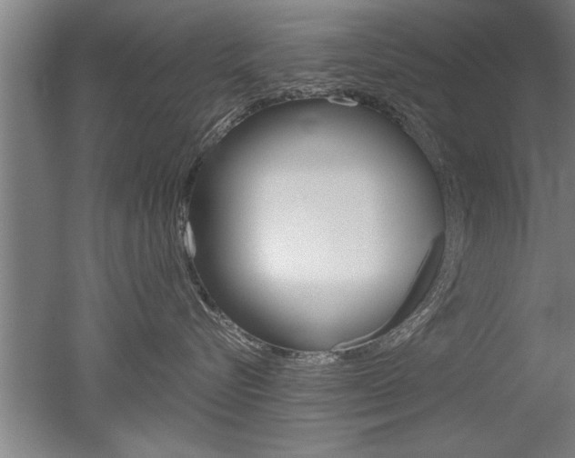 X0000051240576200506170819