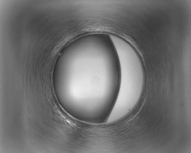 X0000051240577200506170818