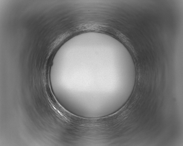 X0000051240578200506170818