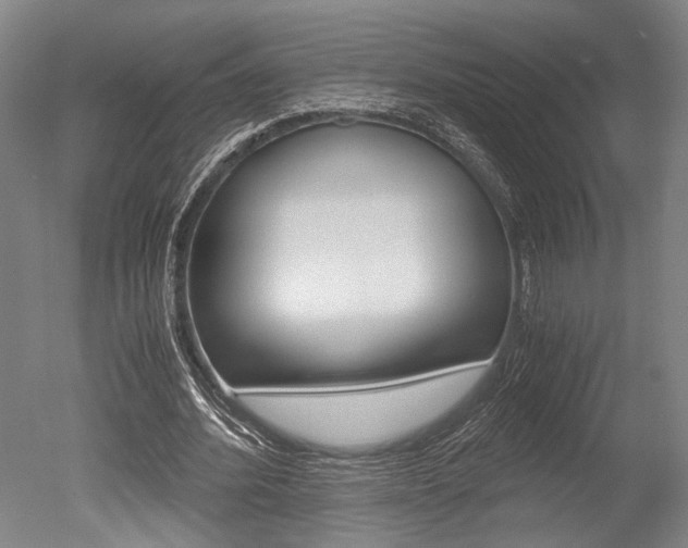 X0000051240580200506170818