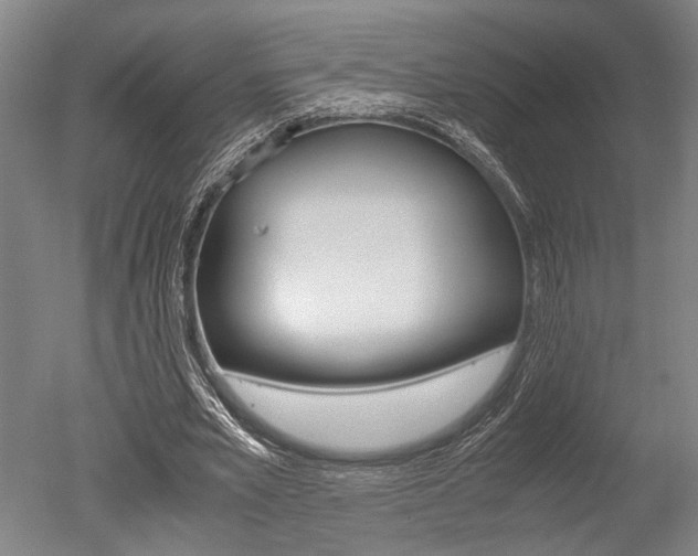 X0000051240581200506170818