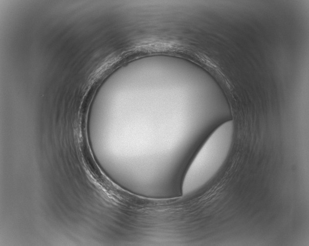 X0000051240582200506170818