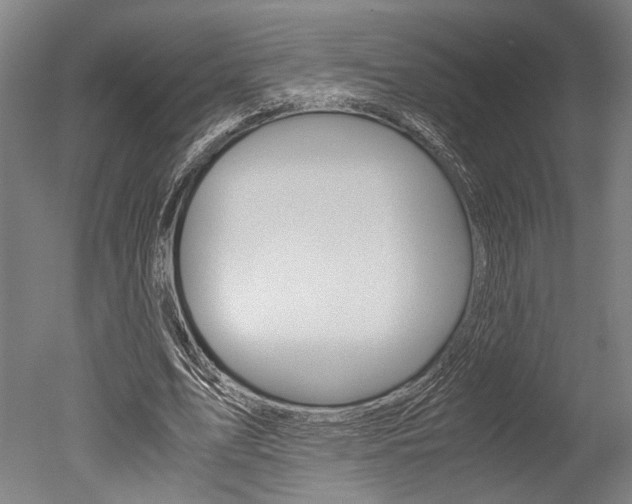 X0000051240583200506170818