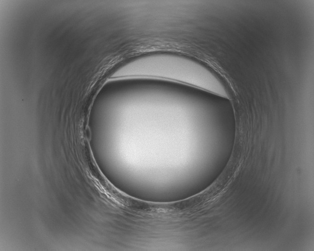 X0000051240585200506170818