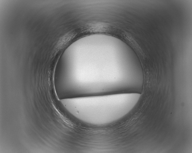 X0000051240586200506170818