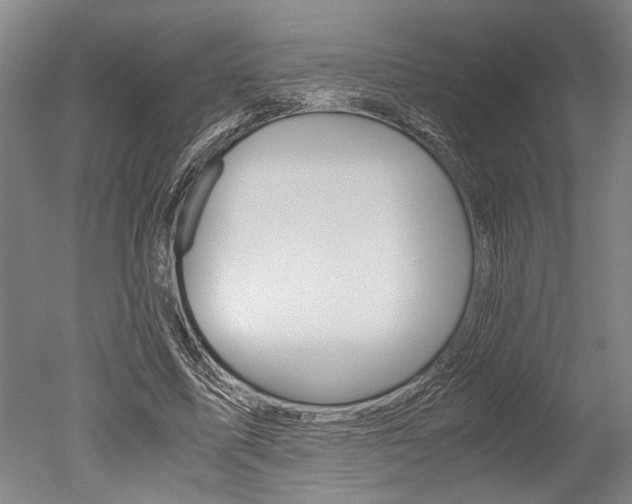 X0000051240587200506170818