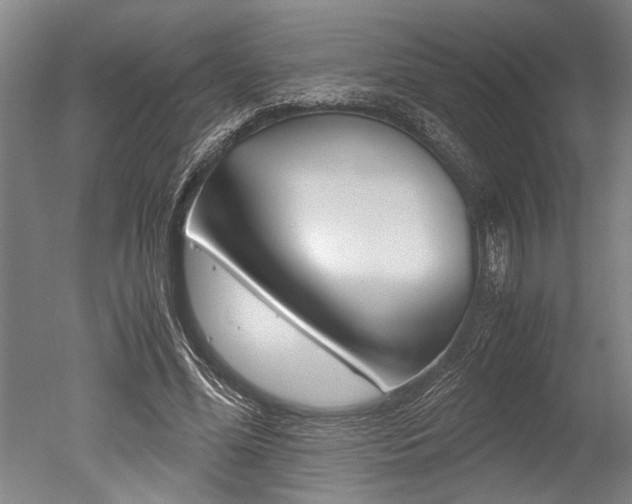 X0000051240588200506170818