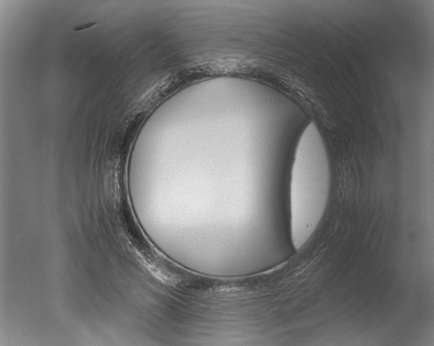 X0000051240590200506170818