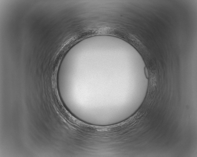 X0000051240591200506170818