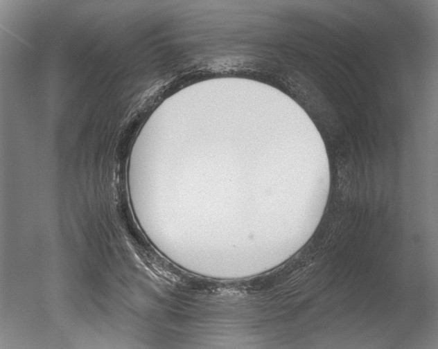 X0000051240592200506170818
