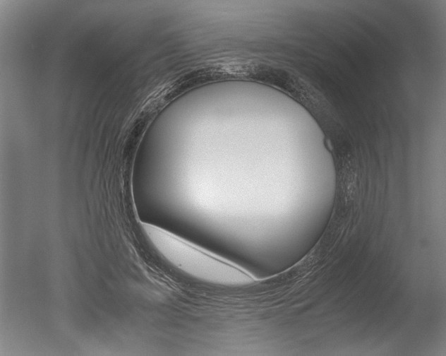 X0000051240595200506170818