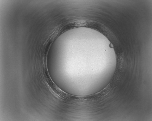 X0000051240598200506170818