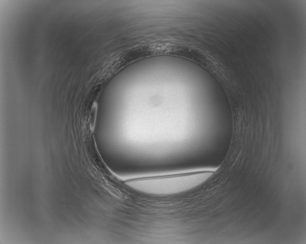 X0000051240601200506170818