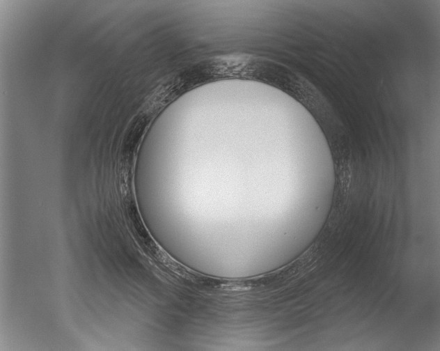 X0000051240602200506170818