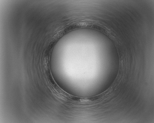 X0000051240605200506170818