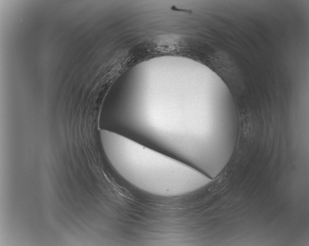 X0000051240606200506170818