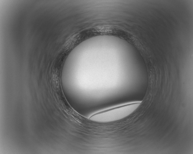 X0000051240609200506170817