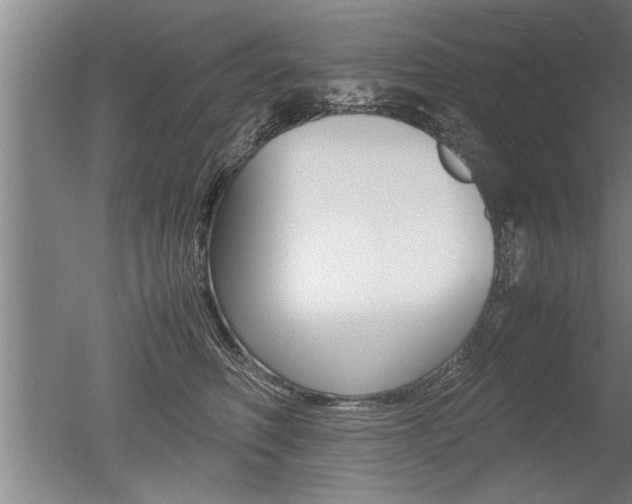 X0000051240614200506170817