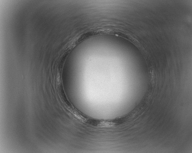 X0000051240617200506170817