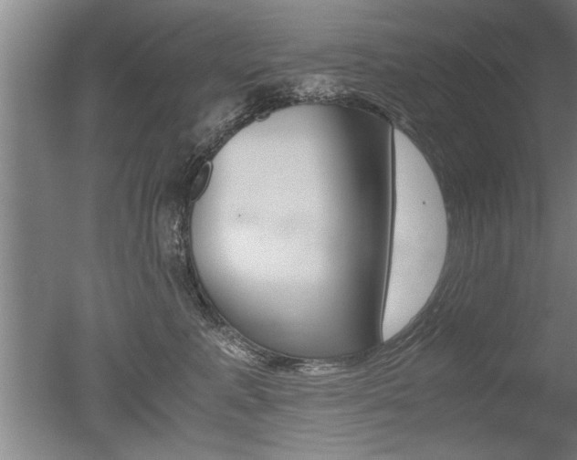 X0000051240619200506170817