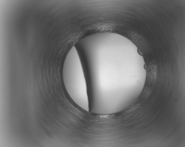 X0000051240622200506170817