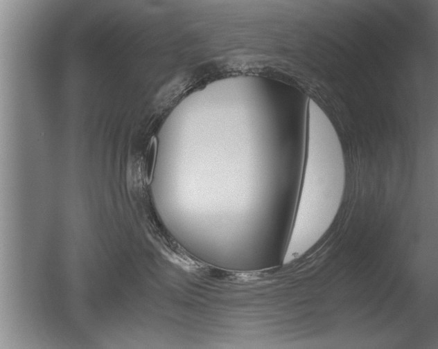 X0000051240623200506170817
