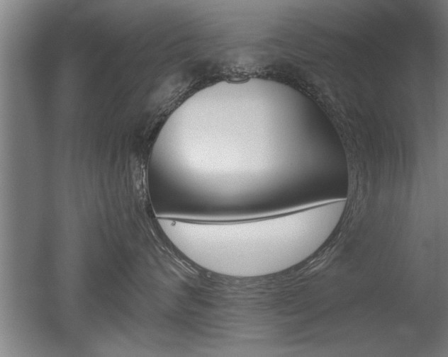 X0000051240624200506170817