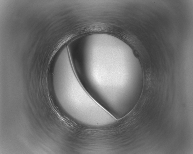 X0000051240626200506170816