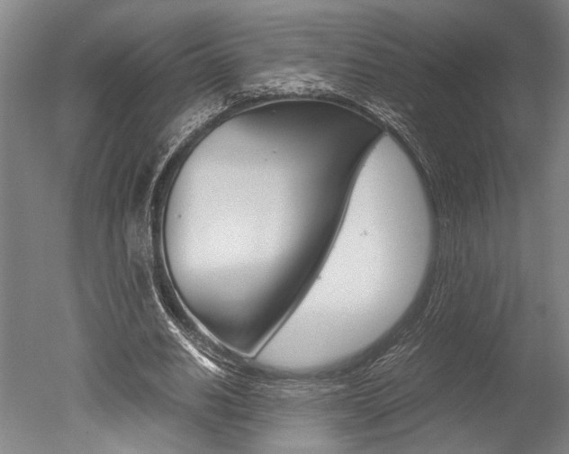 X0000051240630200506170817