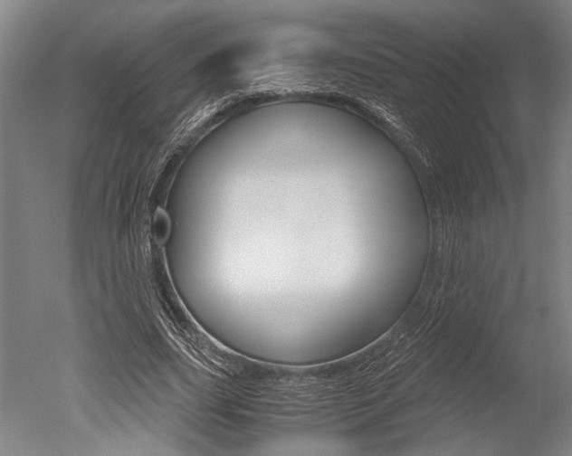 X0000051240631200506170817