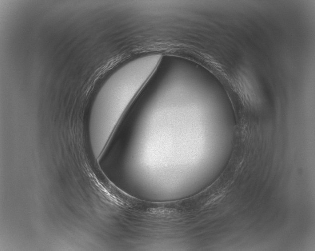 X0000051240633200506170817