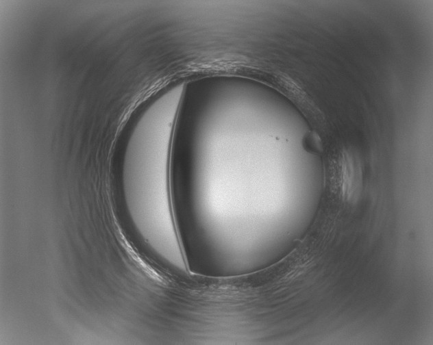 X0000051240634200506170817