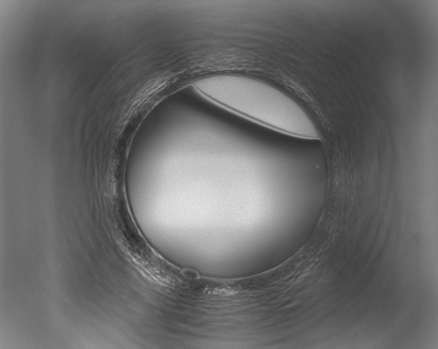 X0000051240635200506170817