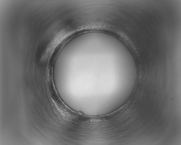 X0000051240636200506170817