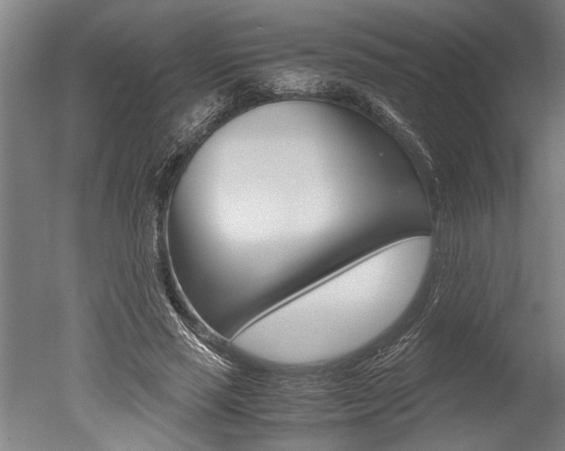X0000051240637200506170817