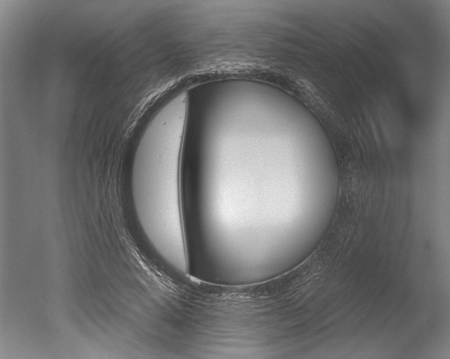 X0000051240640200506170817