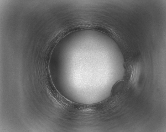 X0000051240643200506170817