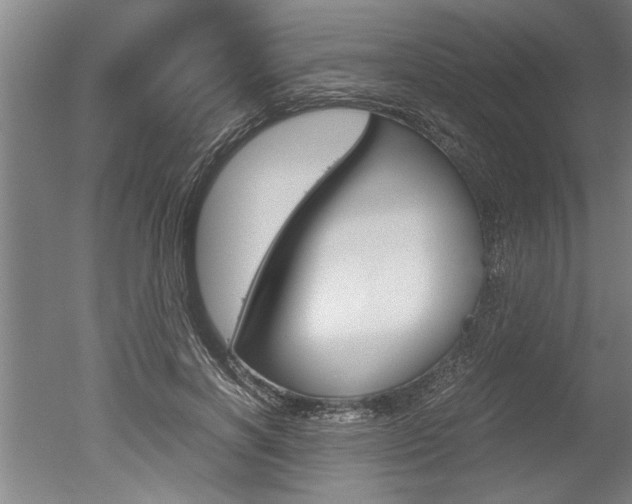 X0000051240646200506170817