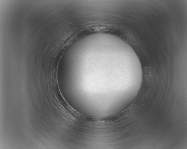 X0000051240650200506170817