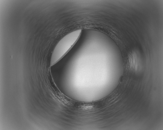 X0000051240651200506170817