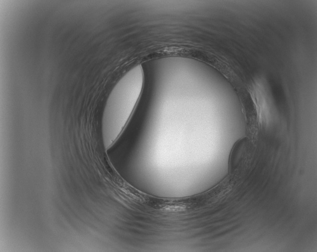 X0000051240653200506170817