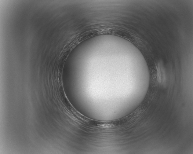 X0000051240654200506170817