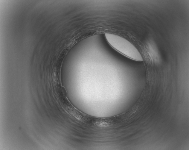 X0000051240655200506170817